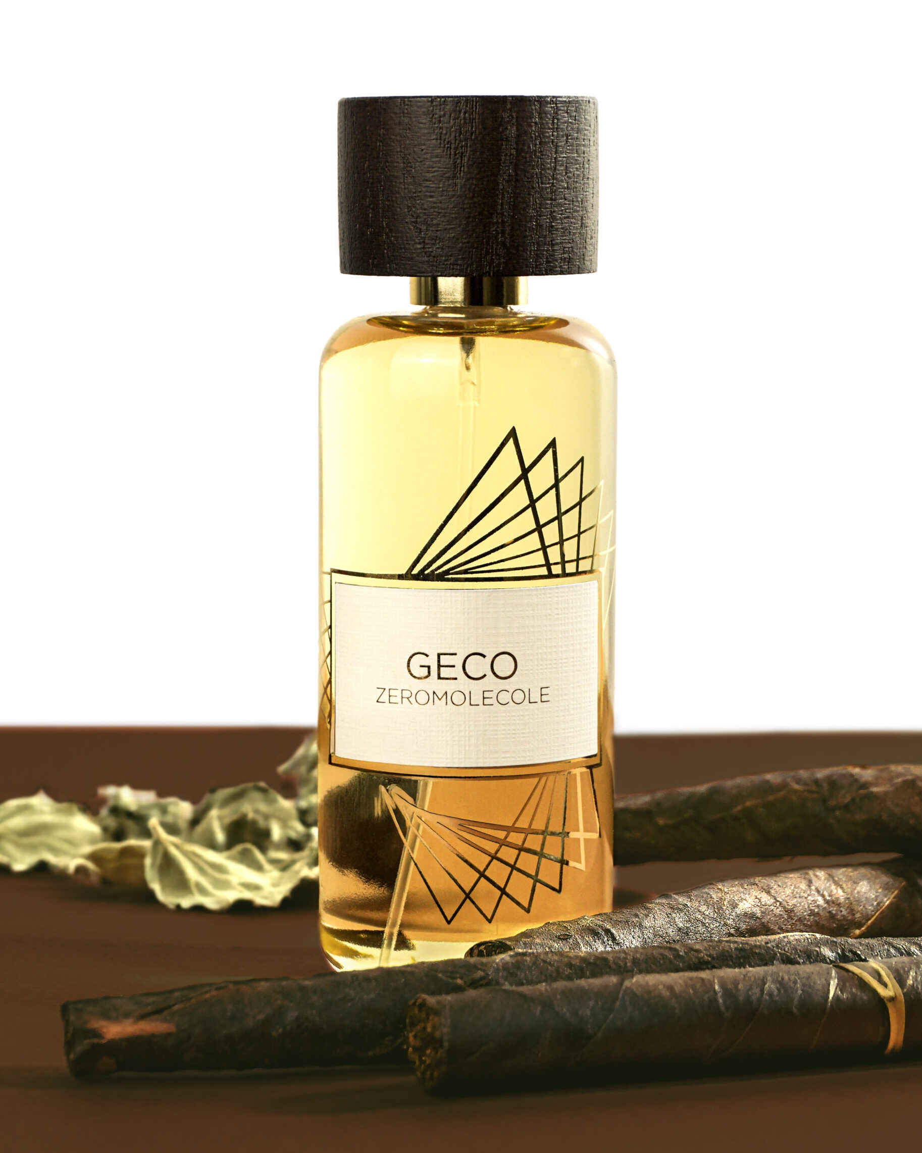 GECO2 copia