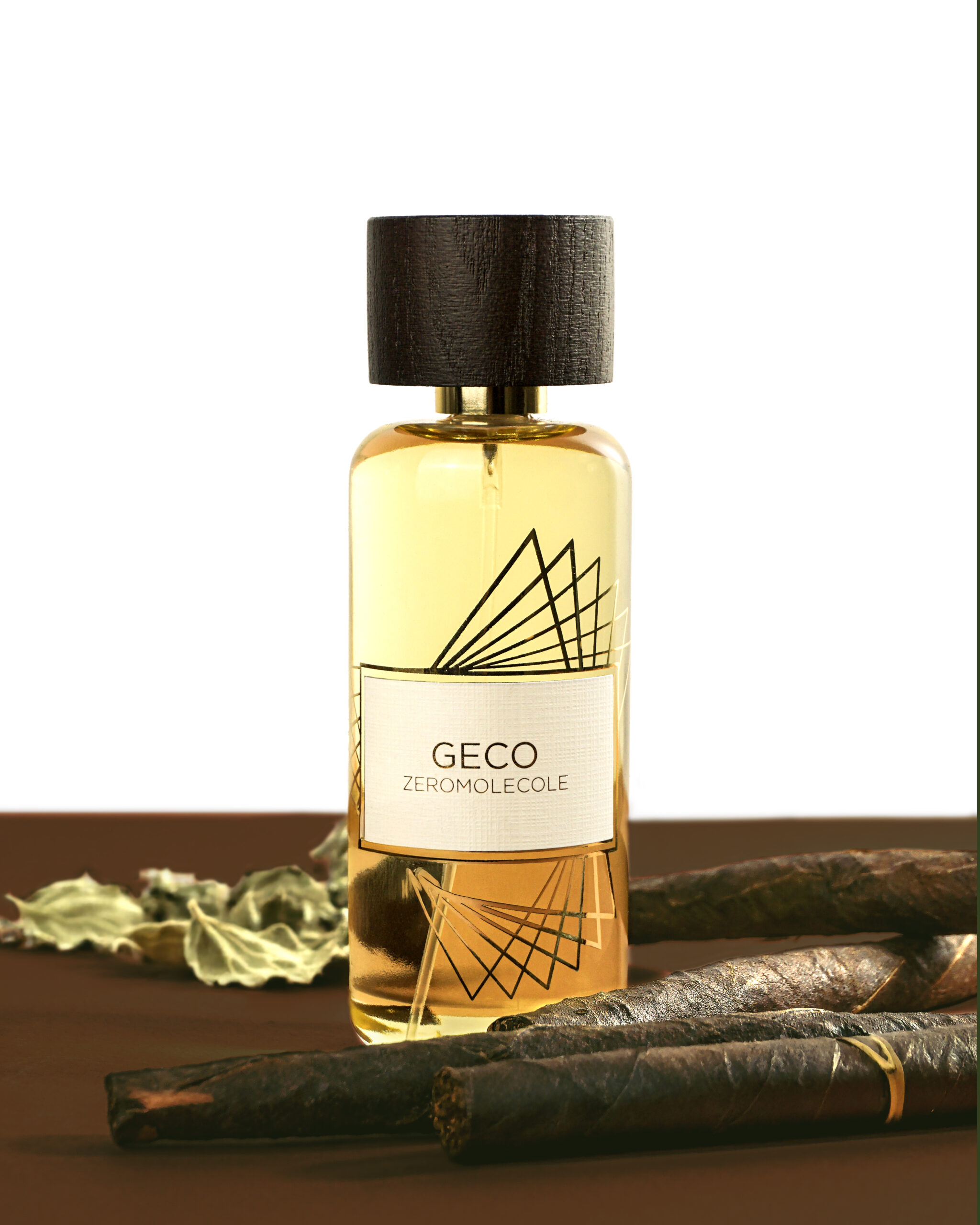 GECO2 copia