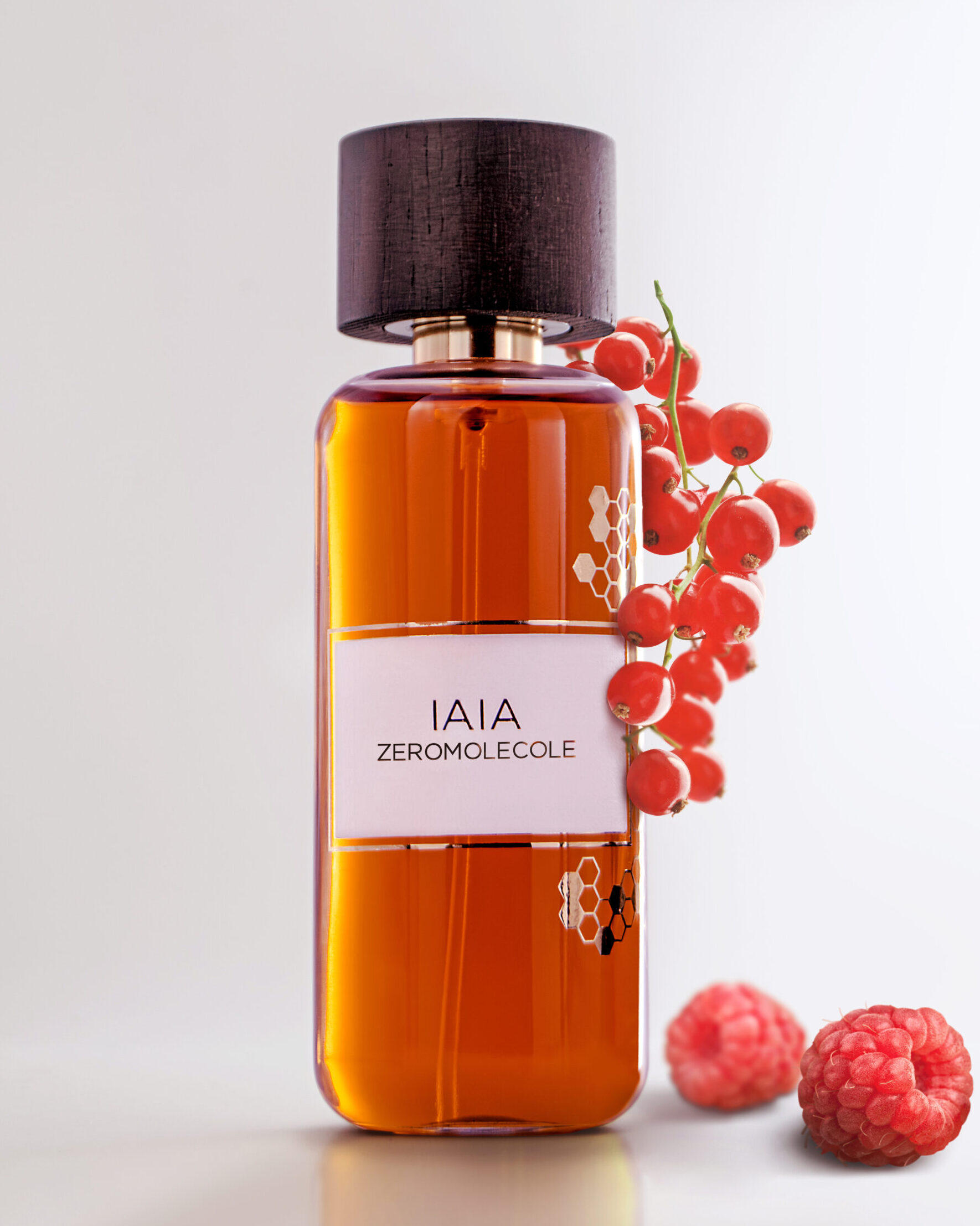 IAIAFOTO copia