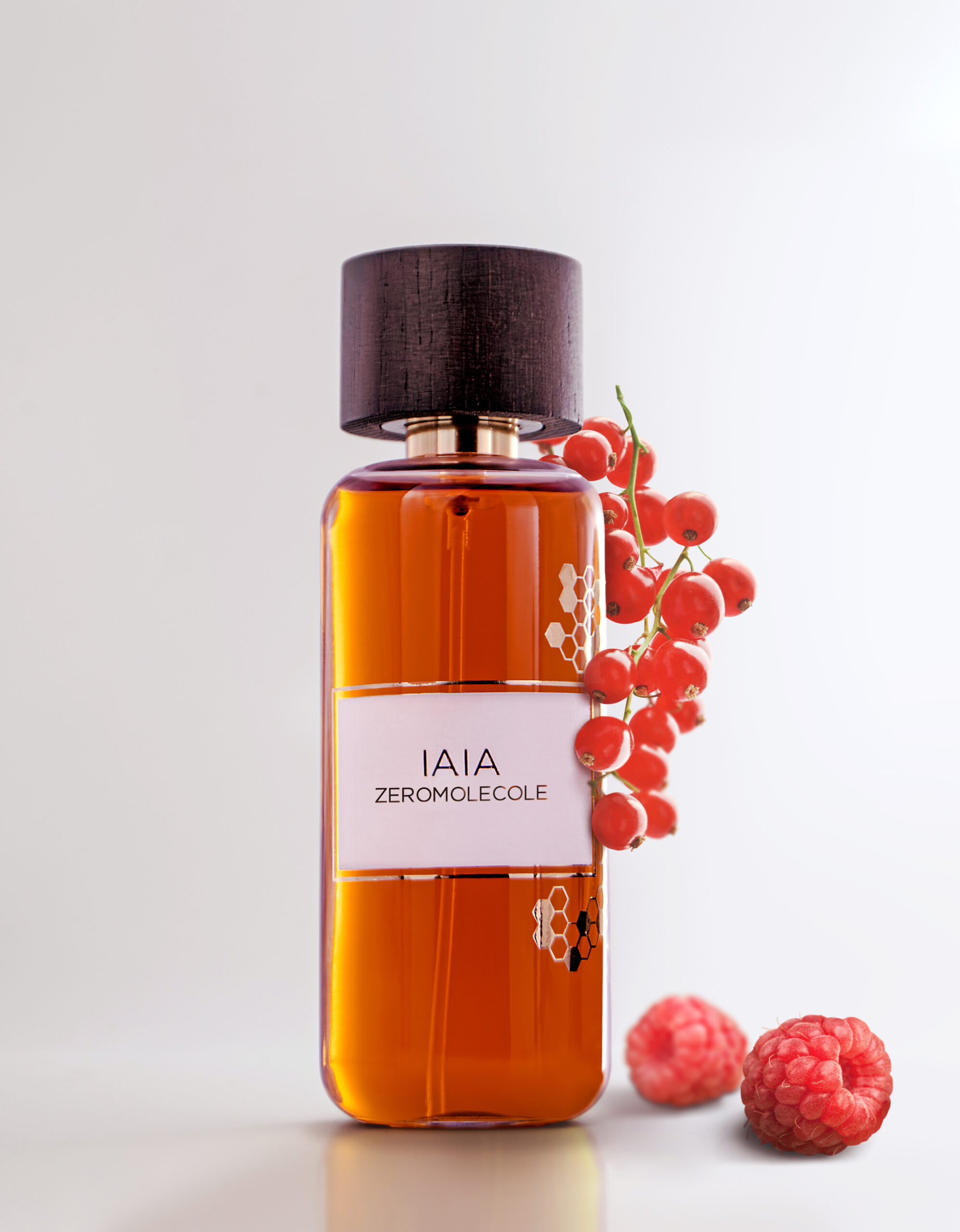 IAIAFOTO copia